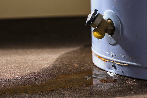 Trusted FL Water damage restoration Experts