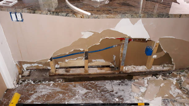 Best Local water damage restoration  in Olympia Heights, FL