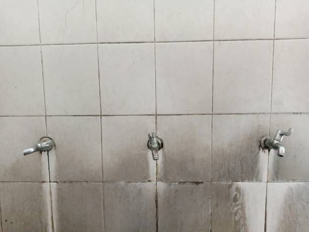  Olympia Heights, FL Water damage restoration Pros