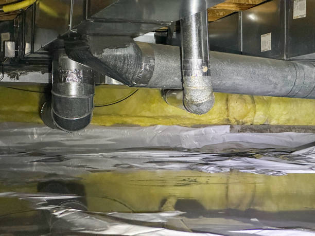 Best Fire Damage Restoration  in Olympia Heights, FL
