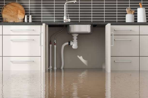 Best Sewage cleanup and water damage restoration  in Olympia Heights, FL