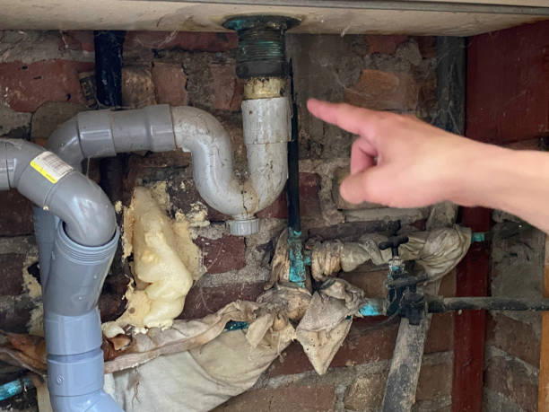 Best Mold removal after water damage  in Olympia Heights, FL