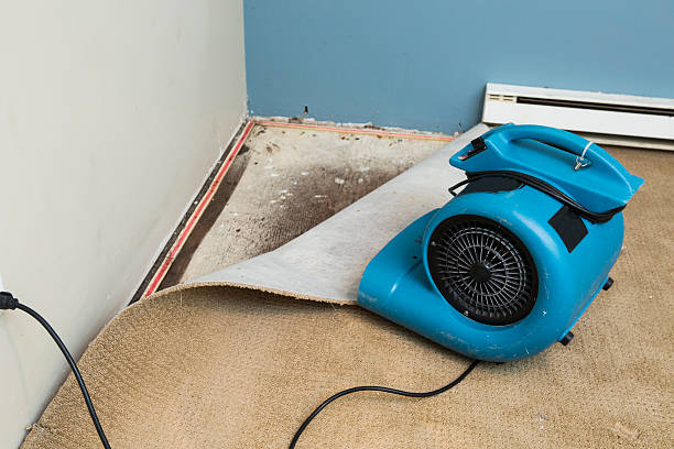 Best Water damage restoration near me  in Olympia Heights, FL